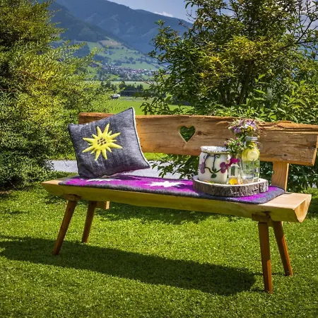 Erlachhof By Interhome * Niedernsill