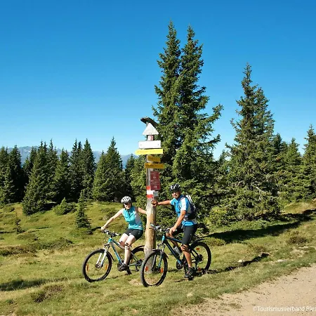 Dom wakacyjny Erlachhof By Interhome