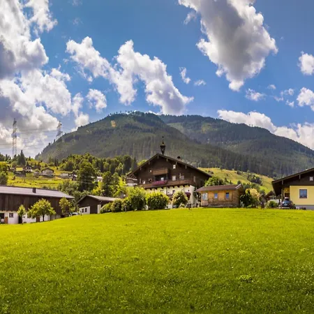 Prázdninový dům Erlachhof By Interhome Niedernsill