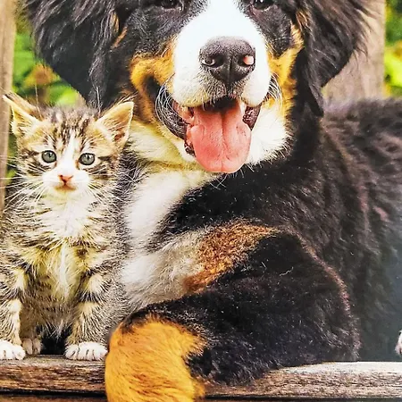 Holiday home Erlachhof By Interhome