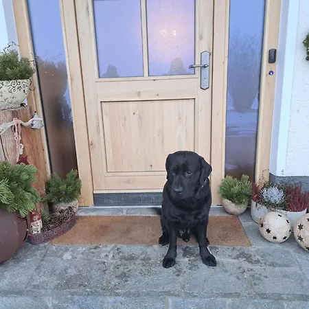 Erlachhof By Interhome *