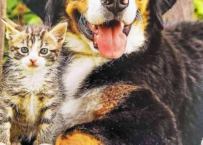 Holiday home Erlachhof By Interhome