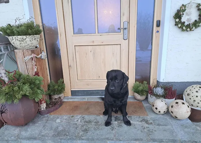 Erlachhof By Interhome *